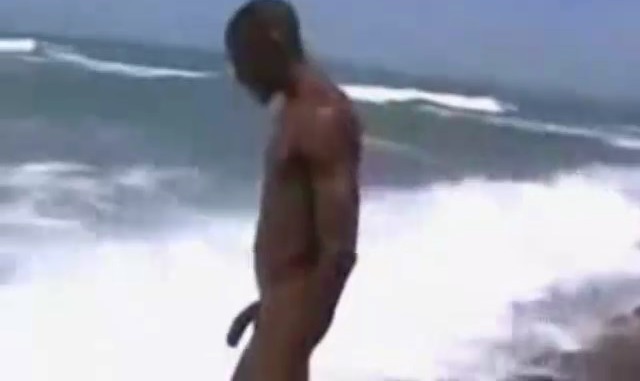 Horse hung stud at the beach